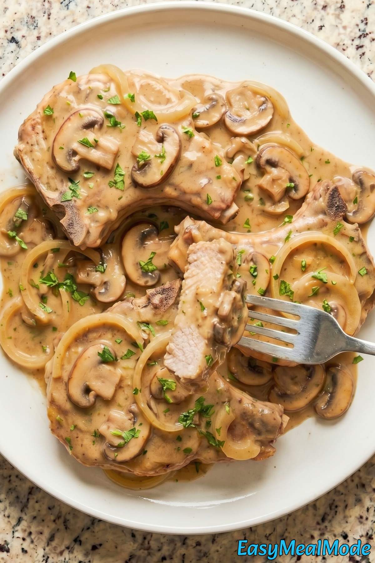 Creamy slow cooker smothered pork chops
