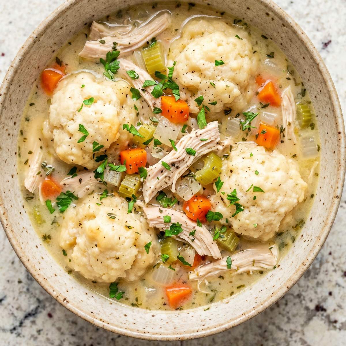 Instant Pot Chicken & Dumplings
